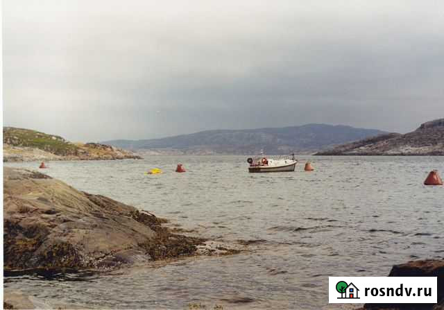 Катер 1339А Печенга - изображение 1