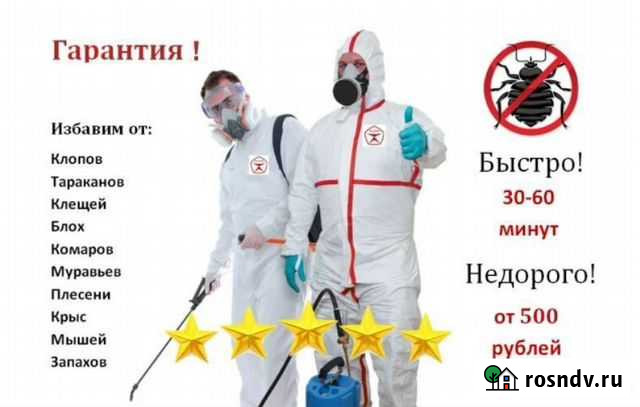 Уничтожение клопов и тараканов, covid-19 Чебоксары - изображение 1