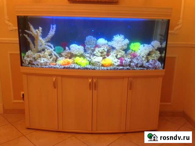 Обслуживание аквариумов Жуковский - изображение 1