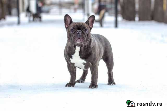 Вязка Белогорск - изображение 1