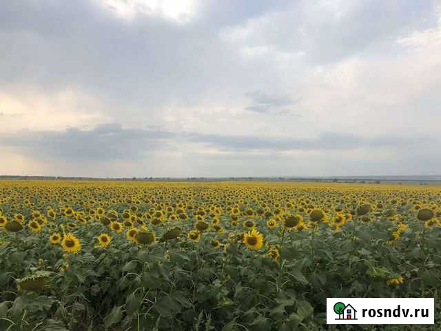 Абонемент в фитнес клуб Краснодар - изображение 1