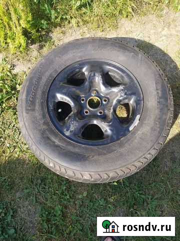 Запаска Липки - изображение 1