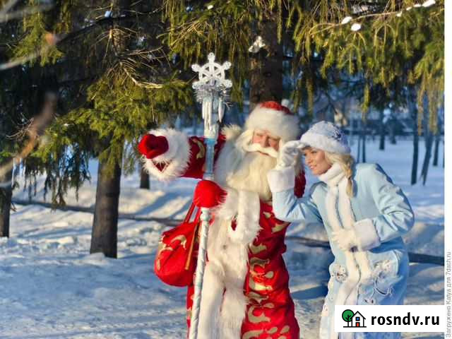 Дед мороз и Снегурочка Рузаевка - изображение 1