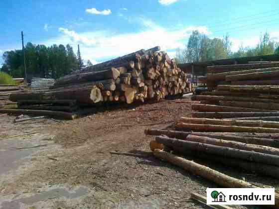 Береза Сосна Елка Лес кругляк пиловочник Доска Линда
