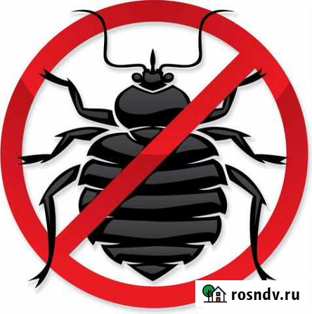 Уничтожение клопов и тараканов Дезинфекция Челябинск - изображение 1