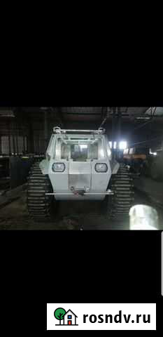 Снегоболотоход шах Томск - изображение 1