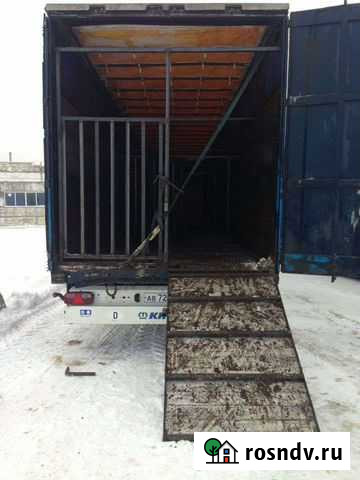 Скотовоз, перевозка скота Кузнецк - изображение 1