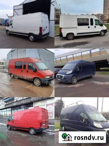 Аренда/Прокат микроавтобуса и фургонов Фиат Дукато Санкт-Петербург - изображение 1