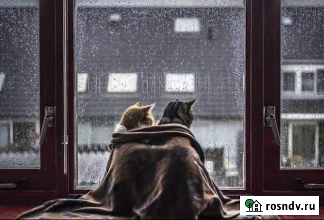 Мастер по ремонту окон и дверей. Регулировка окон Санкт-Петербург - изображение 1