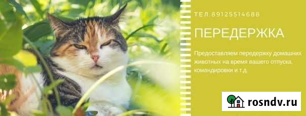 Передержка домашних животных на нашей территории Печора - изображение 1