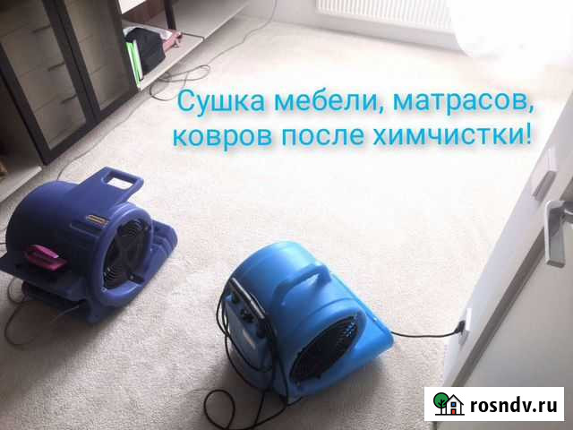 Химчистка и сушка мягкой мебели, матрасов и ковров Калининград - изображение 1