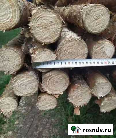 Тонкомер, жерди, столбы сосна Красный Яр - изображение 1