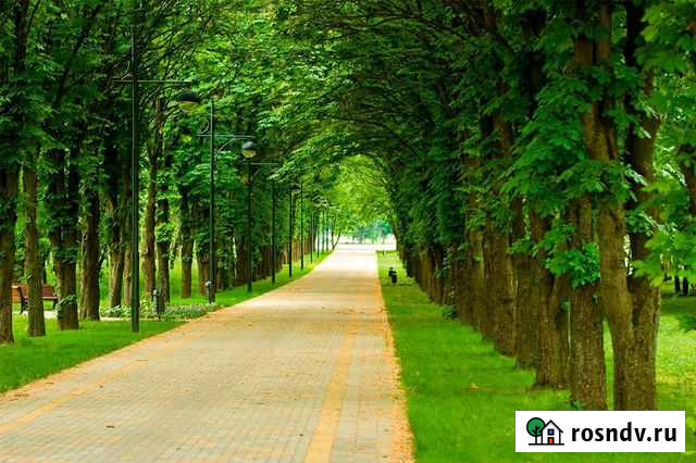 Инженер дендролог Москва - изображение 1