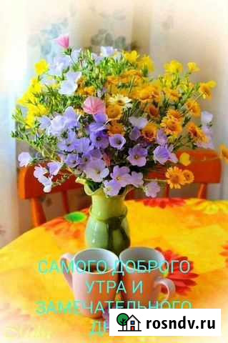 Уход за больными Истра - изображение 1