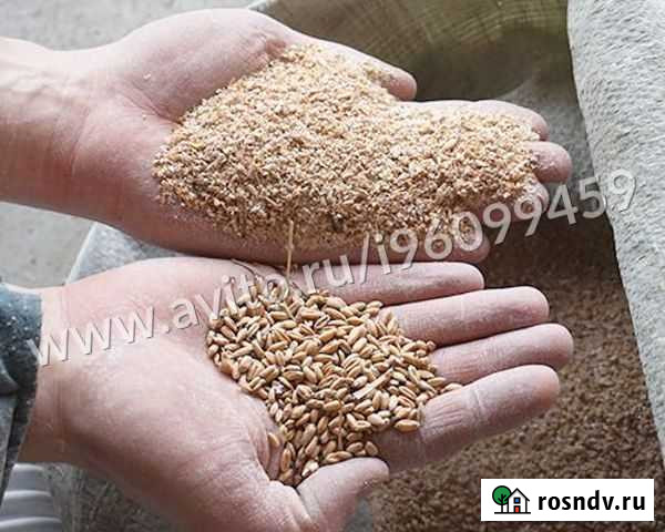 Зернодробилка Шмель 4 кВт Волгодонск - изображение 1