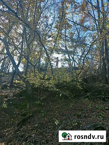 Репетиторство Волгоград - изображение 1