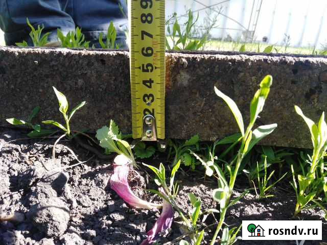 Продам швеллер Мариинск - изображение 1