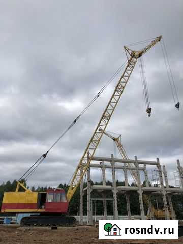 Аренда крана рдк 250-2, дэк 251, мкг 25 бр Уфа - изображение 1