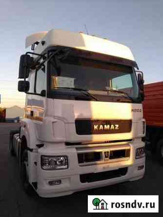 Отключение мочевины AdBlue Камаз 5490 Сургут