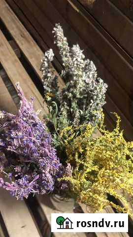 Баня сауна в аренду Казань - изображение 1