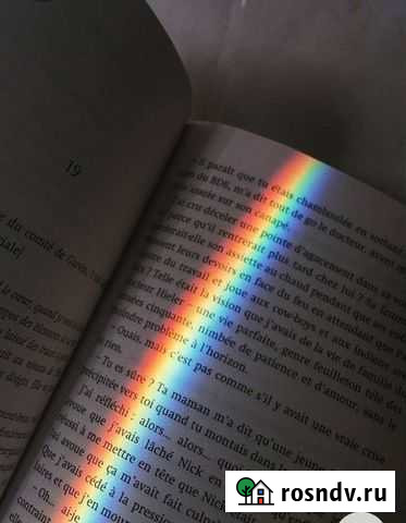 Выгул собак Бийск - изображение 1