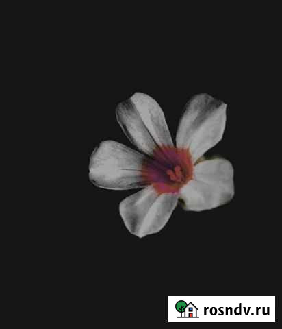 Маникюр Грозный - изображение 1