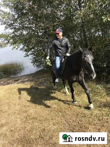 Услуги финансового директора Липецк - изображение 1