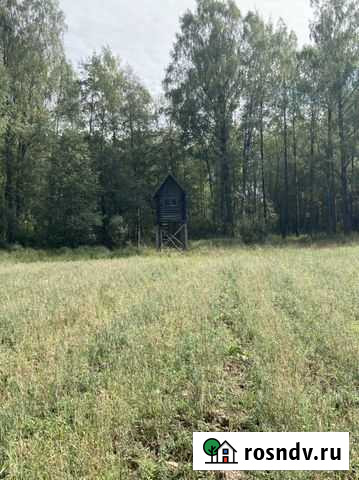 Приглашаем на охоту Ярославль - изображение 1