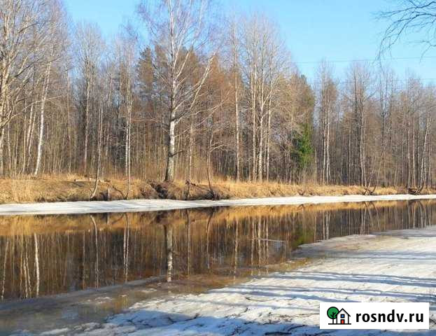 Участок СНТ, ДНП 12 сот. на продажу в Высоцке Высоцк - изображение 1