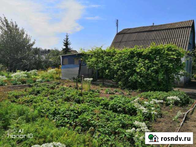 Дача 50 м² на участке 6 сот. на продажу в Лисках Лиски - изображение 1