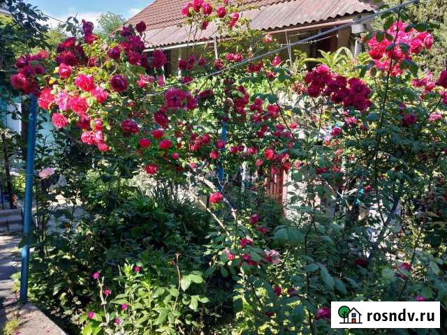 Дом 70 м² на участке 15 сот. в аренду посуточно в Туапсе Туапсе - изображение 1