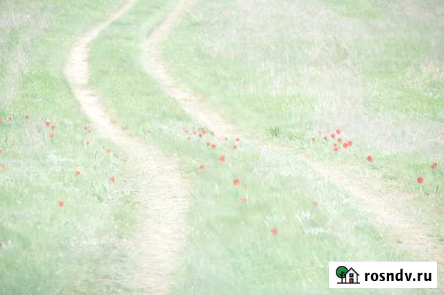 Участок СНТ, ДНП 61 сот. на продажу в Лихом Лихой - изображение 1