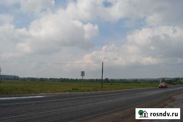 Участок СНТ, ДНП 256 сот. на продажу в Чусовом Чусовой - изображение 1