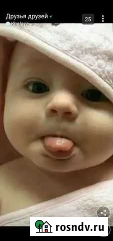 Грунт бесплатно приму Садовый - изображение 1