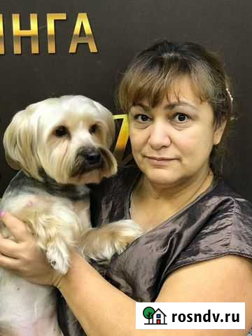 Стрижка собак и кошек Щёлково - изображение 1