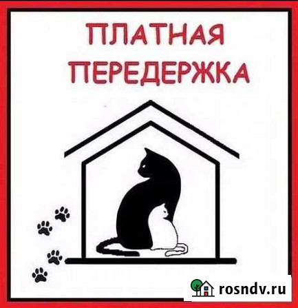 Передержка животных Тула - изображение 1