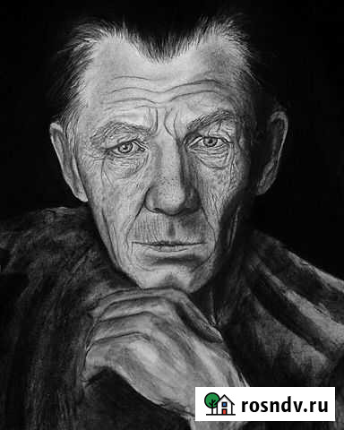 Шарж, портрет по фото на заказ Петропавловск-Камчатский - изображение 1