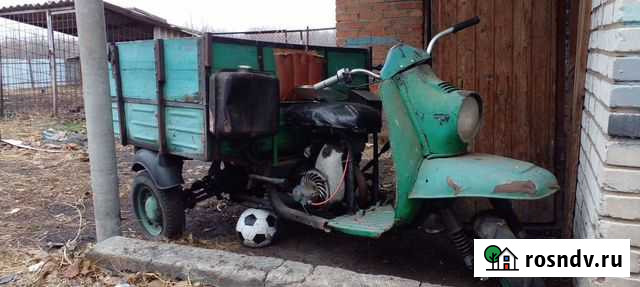 Муравей Горняцкий - изображение 1