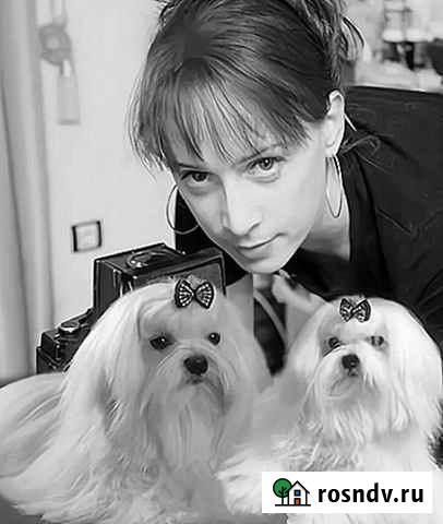 Стрижка кошек стрижка собак Выезжаю во все районы Челябинск - изображение 1