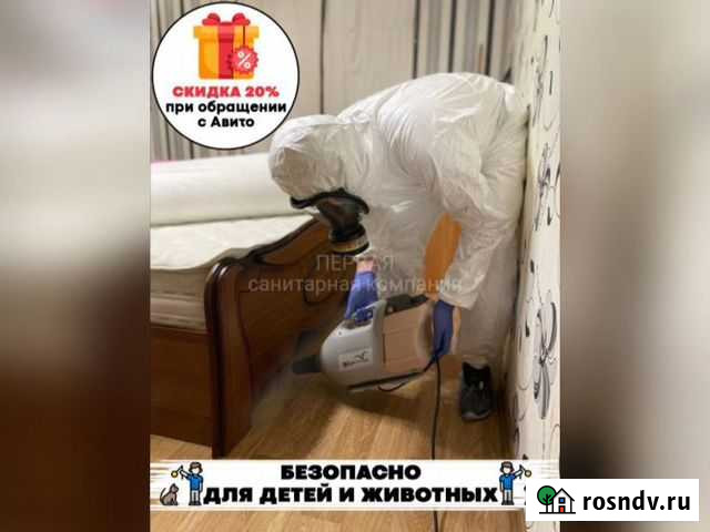 Дезинсекция. Уничтожение тараканов, крыс, мышей Псков - изображение 1