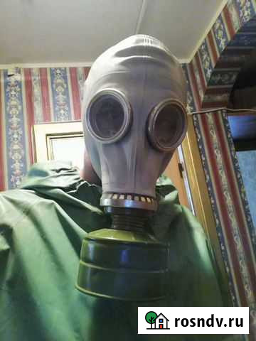 Уничтожение тараканов, клопов Курск - изображение 1