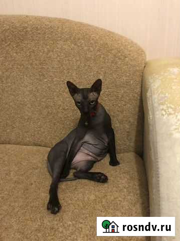 Ремонт стиральных машин частный мастер Новокузнецк - изображение 1