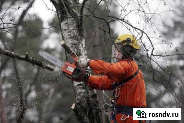 Валка деревьев, спиливание крон Вязники - изображение 1