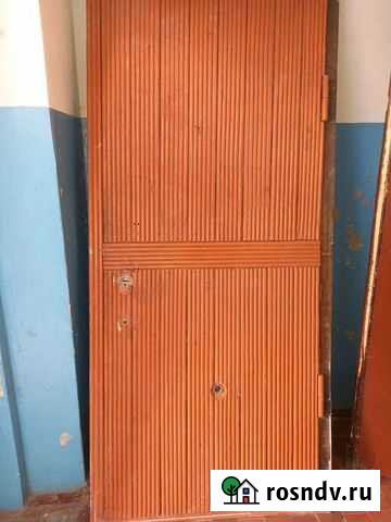 Дверь Еманжелинск - изображение 1