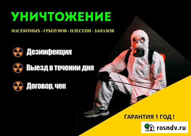 Уничтожение насекомых: клопов, тараканов, грызунов Астрахань - изображение 1