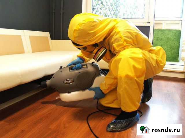 Обработка от клопов и тараканов Санкт-Петербург - изображение 1