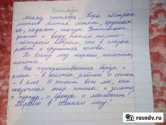 Перепись и написание конспектов, лекций Рязань