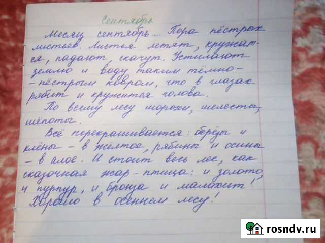 Перепись и написание конспектов, лекций Рязань - изображение 1