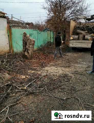 Спил деревьев авто вышка Краснодар - изображение 1