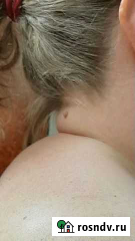 Массаж,маникюр, педикюр,окраска бровей,ресниц Ермолино - изображение 1